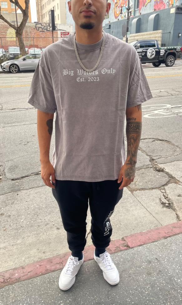 Washed Big wolves only shirt (Grey)