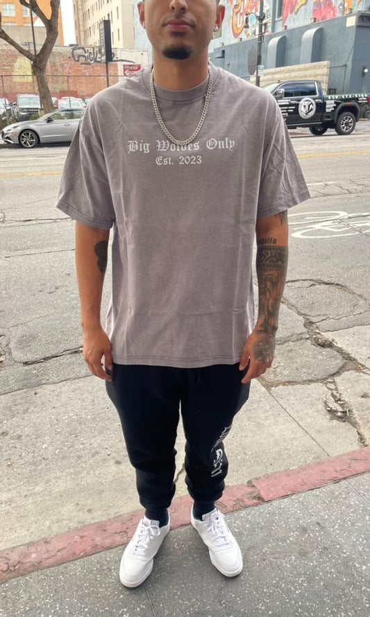 Washed Big wolves only shirt (Grey)