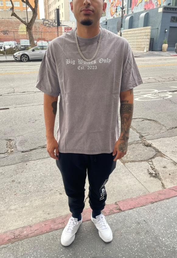 Washed Big wolves only shirt (Grey)